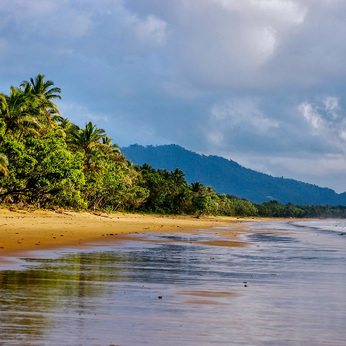 A&R Removals | Mission Beach Removalists